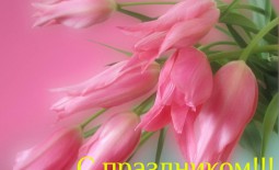 Поздравление